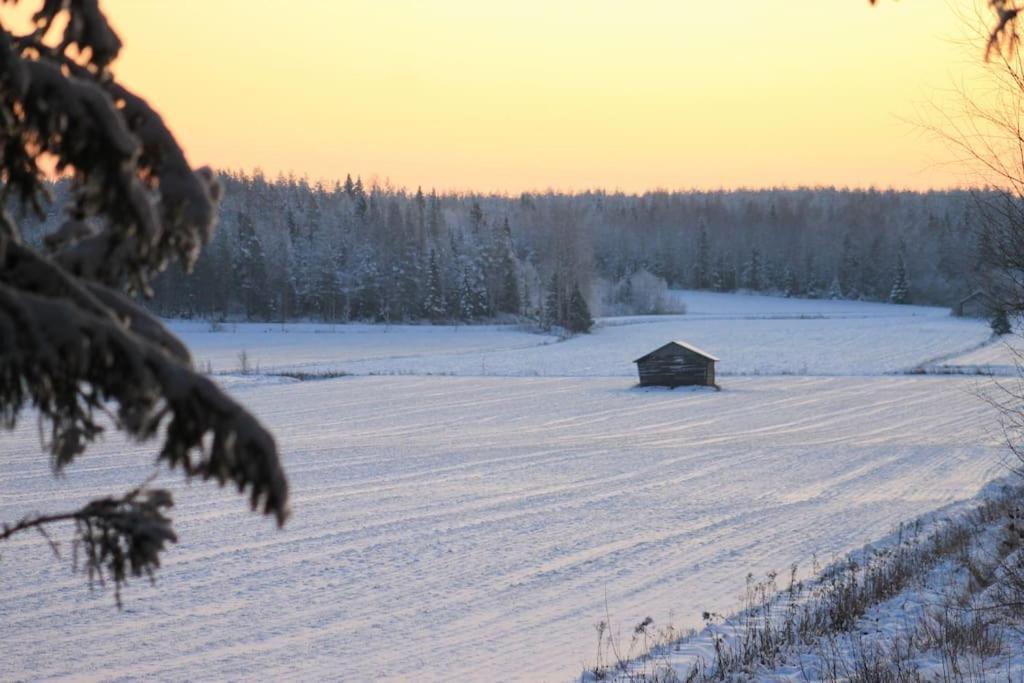 Albertiina Kurikka Exteriör bild